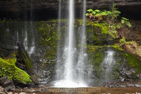 Australasian;Australia;Australian;cascade;cascades;creek;creeks;Derwent-Valley;falls;Island-of-Tasmania;Mount-Field-N.P.;Mount-Field-National-Park;Mount-Field-NP;Mt-Field-N.P.;Mt-Field-National-Park;Mt-Field-NP;natural;nature;Russell-Falls;scene;scenic;State-of-Tasmania;stream;streams;Tas;Tasmania;water;water-fall;water-falls;waterfall;waterfalls;wet