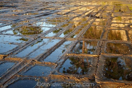 Australasian;Australia;Australian;calm;coast;coastal;coastline;coastlines;coasts;Eaglehawk-Neck;foreshore;geological;geology;Island-of-Tasmania;landform;landforms;landscpape;natural-rock-formation;natural-rock-formations;ocean;Pirates-Bay;placid;quiet;reflection;reflections;rock;rock-formation;rock-formations;rock-outcrop;rock-outcrops;rocks;sea;serene;shore;shoreline;shorelines;shores;smooth;Southern-Tasmania;State-of-Tasmania;still;stone;Tas;Tasman-Peninsula;Tasmania;Tessellated-Pavement;tranquil;unusual-landscape;unusual-landscapes;unusual-rock-formation;unusual-rock-formations;water