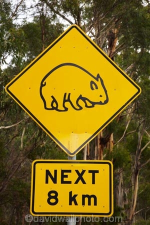 Australasian;Australia;Australian;Island-of-Tasmania;road-sign;road-signs;road_sign;road_signs;roads;roadsign;roadsigns;sign;signs;Southern-Tasmania;State-of-Tasmania;symbol;symbols;Tas;Tasman-Peninsula;Tasmania;warn;warning;warning-sign;warning-signs;wildlife;wombat;wombat-sign;wombat-signs;wombat-warning-sign;wombat-warning-signs;wombats;yellow-black;yellow-sign;yellow-signs