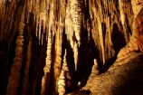 Australasian;Australia;Australian;beach;cave;cavern;caverns;caves;caving;grotto;grottos;Hastings-Cave;Hastings-Caves;Hastings-Caves-State-Reserve;Island-of-Tasmania;Newdegate-Cave;stalactite;stalactites;stalagmite;stalagmites;State-of-Tasmania;Tas;Tasmania;underground