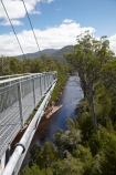 Australasian;Australia;Australian;beautiful;beauty;bush;Cantilever;elevated-walkway;elevated-walkways;endemic;forest;Forestry-Tasmania;forests;green;high;Huon-River;Island-of-Tasmania;native;native-bush;natural;nature;people;person;scene;scenic;State-of-Tasmania;Tahune-Air-Walk;Tahune-AirWalk;Tahune-Forest-Airwalk;Tahune-Forest-Reserve;Tahure-Forest-Air-Walk;Tas;Tasmania;tourism;tourist;tourists;tree;trees;wood;woods