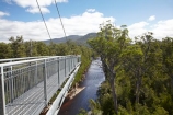Australasian;Australia;Australian;beautiful;beauty;bush;Cantilever;elevated-walkway;elevated-walkways;endemic;forest;Forestry-Tasmania;forests;green;high;Huon-River;Island-of-Tasmania;native;native-bush;natural;nature;people;person;scene;scenic;State-of-Tasmania;Tahune-Air-Walk;Tahune-AirWalk;Tahune-Forest-Airwalk;Tahune-Forest-Reserve;Tahure-Forest-Air-Walk;Tas;Tasmania;tourism;tourist;tourists;tree;trees;wood;woods