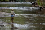 Australasian;Australia;Australian;fisher;fisherman;fishermen;fisherwoman;fishing;fishing-rod;fishing-rods;fly-fisherman;fly-fishing;fly_fishing;Ginger-Creek;Island-of-Tasmania;leisure;Mount-Field-N.P.;Mount-Field-National-Park;Mount-Field-NP;Mt-Field-N.P.;Mt-Field-National-Park;Mt-Field-NP;pastime;recreation;recreational;relaxing;rod;rods;sport;State-of-Tasmania;Tas;Tasmania