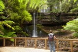 Australasian;Australia;Australian;cascade;cascades;creek;creeks;Derwent-Valley;falls;fern;ferns;frond;fronds;Island-of-Tasmania;Mount-Field-N.P.;Mount-Field-National-Park;Mount-Field-NP;Mt-Field-N.P.;Mt-Field-National-Park;Mt-Field-NP;natural;nature;Russell-Falls;scene;scenic;State-of-Tasmania;stream;streams;Tas;Tasmania;water;water-fall;water-falls;waterfall;waterfalls;wet