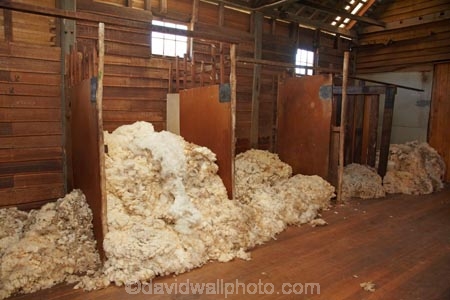 Australasian;Australia;Australian;Brickendon;Brickendon-Estate;Brickendon-Farm;Brickendon-Historical-Farming-Village;building;buildings;Cental-Tasmania;Farm-Building;Farm-Buildings;Farm-Shed;Farm-Sheds;fleece;fleeces;heritage;historic;historic-building;historic-buildings;historic-farm;historic-farms;historic-place;historic-places;historic-site;historic-sites;historical;historical-building;historical-buildings;historical-place;historical-places;historical-site;historical-sites;history;Island-of-Tasmania;Longford;Midland-Highway;Midlands;old;Shearing-Shed;Shearing-Sheds;Sheep-Shed;Sheep-Sheds;shorn-wool;State-of-Tasmania;Tas;Tasmania;tradition;traditional;wool;Wool-Shed;Wool-Sheds;woolshed;woolsheds