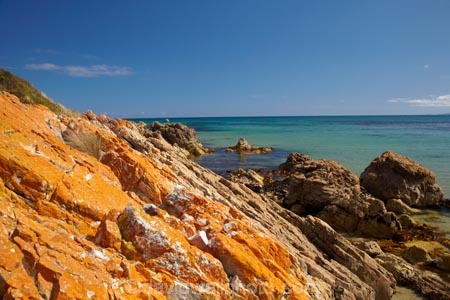 algae;Ann-Bay;Australasian;Australia;Australian;coast;coastal;coastline;coastlines;coasts;foreshore;fungi;Green-Point;Greent-Pt;Island-of-Tasmania;lichens;Marrawah;North-West-Tasmania;North-Western-Tasmania;Northern-Tasmania;orange;orange-lichen;orange-lichens;orange-rock;orange-rock-lichen;orange-rock-lichens;orange-rocks;rock;rocks;shore;shoreline;shorelines;shores;State-of-Tasmania;Tas;Tasmania;The-North