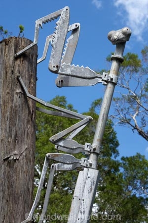 art;art-work;art-works;Australasian;Australia;Australian;Bass-Highway;Dismal-Swamp;Forestry-Tasmania;Island-of-Tasmania;Northern-Tasmania;Praying-Mantis-Sculpture;public-art;public-art-work;public-art-works;public-sculpture;public-sculptures;sculptor-Greg-Duncan;sculpture;sculptures;State-of-Tasmania;statue;statues;Tarkine-Forest-Adventures;Tas;Tasmania;The-North;The-Tarkine