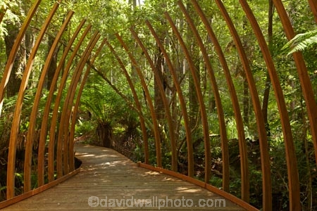 art;art-work;art-works;Australasian;Australia;Australian;Bass-Highway;beautiful;beauty;bush;Dismal-Swamp;endemic;forest;Forestry-Tasmania;forests;green;Island-of-Tasmania;Living-Room-Sculpture;native;native-bush;natural;nature;North-West-Tasmania;North-Western-Tasmania;Northern-Tasmania;public-art;public-art-work;public-art-works;public-sculpture;public-sculptures;ribs;scene;scenic;sculptor-Simon-Ancher;sculpture;sculptures;State-of-Tasmania;Tarkine-Forest-Adventures;Tas;Tasmania;The-North;The-Tarkine;tree;trees;wood;woods