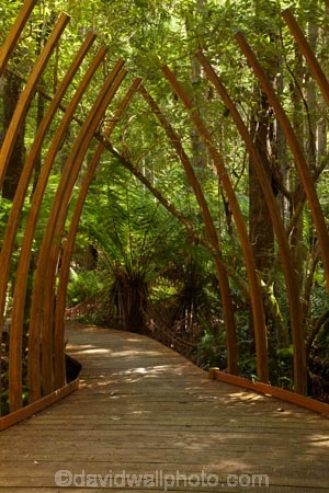art;art-work;art-works;Australasian;Australia;Australian;Bass-Highway;beautiful;beauty;bush;Dismal-Swamp;endemic;forest;Forestry-Tasmania;forests;green;Island-of-Tasmania;Living-Room-Sculpture;native;native-bush;natural;nature;North-West-Tasmania;North-Western-Tasmania;Northern-Tasmania;public-art;public-art-work;public-art-works;public-sculpture;public-sculptures;ribs;scene;scenic;sculptor-Simon-Ancher;sculpture;sculptures;State-of-Tasmania;Tarkine-Forest-Adventures;Tas;Tasmania;The-North;The-Tarkine;tree;trees;wood;woods