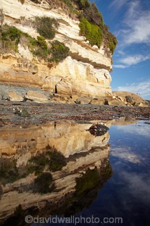 Australasian;Australia;Australian;bluff;bluffs;calm;clff;cliffs;coast;coastal;coastline;coastlines;coasts;foreshore;Fossil-Bluff;Fossil-Cliff;geological;geology;Island-of-Tasmania;North-West-Tasmania;North-Western-Tasmania;Northern-Tasmania;placid;quiet;reflection;reflections;rock;rock-formation;rock-formations;rock-outcrop;rock-outcrops;rocks;sandstone-cliffs;serene;shore;shoreline;shorelines;shores;smooth;State-of-Tasmania;still;stone;Tas;Tasmania;The-North;tranquil;water;Wynyard