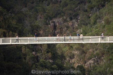 1904;Alexandra-Suspension-Bridge;australasian;australia;australian;bridge;bridges;cataract;Cataract-Gorge;Cataract-Gorge-Reserve;esk;First-Basin;foot-bridge;foot-bridges;footbridge;footbridges;gorge;gorges;heritage;hiking-track;hiking-tracks;historic;historic-bridge;historic-bridges;historic-place;historic-places;historic-site;historic-sites;historical;historical-place;historical-places;historical-site;historical-sites;history;Island-of-Tasmania;launceston;North-Tasmania;northern;Northern-Tasmania;o8l3757;old;pedestrian-bridge;pedestrian-bridges;people;person;river;south;South-Esk-River;State-of-Tasmania;suspension-bridge;suspension-bridges;swing-bridge;swing-bridges;Tas;tasmania;tourism;tourist;tourists;track;tracks;tradition;traditional;walker;walkers;walking-track;walking-tracks;wire-bridge;wire-bridges