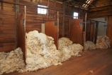 Australasian;Australia;Australian;Brickendon;Brickendon-Estate;Brickendon-Farm;Brickendon-Historical-Farming-Village;building;buildings;Cental-Tasmania;Farm-Building;Farm-Buildings;Farm-Shed;Farm-Sheds;fleece;fleeces;heritage;historic;historic-building;historic-buildings;historic-farm;historic-farms;historic-place;historic-places;historic-site;historic-sites;historical;historical-building;historical-buildings;historical-place;historical-places;historical-site;historical-sites;history;Island-of-Tasmania;Longford;Midland-Highway;Midlands;old;Shearing-Shed;Shearing-Sheds;Sheep-Shed;Sheep-Sheds;shorn-wool;State-of-Tasmania;Tas;Tasmania;tradition;traditional;wool;Wool-Shed;Wool-Sheds;woolshed;woolsheds