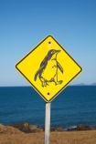 Australasian;Australia;Australian;Bass-Strait;Island-of-Tasmania;North-Western-Tasmania;North-WestTasmania;Northern-Tasmania;Northwestern-Tasmania;NorthwestTasmania;penguiin;penguins;Penquin-Sign;Penquin-Signs;Penquin-Warning-Sign;road-sign;road-signs;sign;signs;Stanley;Stanley-Peninsula;State-of-Tasmania;Tas;Tasmania;The-North;warning-sign;warning-signs;wildlife;wildlife-sign;wildlife-signs