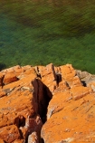 algae;Australasian;Australia;Australian;coast;coastal;coastline;coastlines;coasts;foreshore;fungi;Island-of-Tasmania;lichens;North-West-Tasmania;North-Western-Tasmania;Northern-Tasmania;orange;orange-lichen;orange-lichens;orange-rock;orange-rock-lichen;orange-rock-lichens;orange-rocks;shore;shoreline;shorelines;shores;State-of-Tasmania;Tas;Tasmania;The-North;West-Point;West-Point-State-Reserve