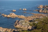 Australasian;Australia;Australian;Burgess-Cove;coast;coastal;coastline;coastlines;coasts;foreshore;Island-of-Tasmania;North-West-Tasmania;North-Western-Tasmania;Northern-Tasmania;Rocky-Cape-N.P.;Rocky-Cape-National-Park;Rocky-Cape-NP;shore;shoreline;shorelines;shores;State-of-Tasmania;Tas;Tasmania;The-North
