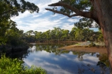 Australasian;Australia;Australian;calm;estuaries;estuary;Inglis-River;inlet;inlets;Island-of-Tasmania;lagoon;lagoons;North-West-Tasmania;North-Western-Tasmania;Northern-Tasmania;placid;quiet;reflection;reflections;river;rivers;serene;smooth;State-of-Tasmania;still;Tas;Tasmania;The-North;tidal;tide;tranquil;water;Wynyard