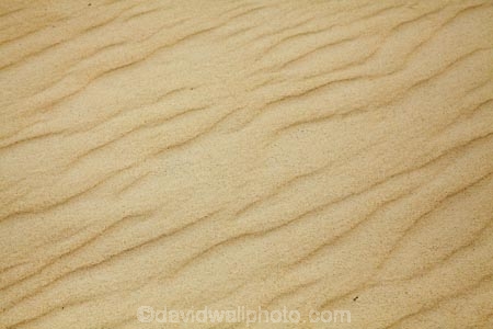 Australasia;Australasian;Australia;Australian;dune;dunes;Henty-Dunes;Henty-Sand-Dunes;Island-of-Tasmania;ripple;ripples;sand;sand-dune;sand-dunes;sand-hill;sand-hills;sand-ripple;sand-ripples;sand_dune;sand_dunes;sand_hill;sand_hills;sanddune;sanddunes;sandhill;sandhills;sandy;State-of-Tasmania;Strahan;Tas;Tasmania;The-West;West-Tasmania;Western-Tasmania;wind-ripple;wind-ripples