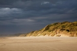 Australasian;Australia;Australian;beach;beaches;black-cloud;black-clouds;black-sky;cloud;cloudy;coast;coastal;coastline;dark-cloud;dark-clouds;dark-sky;dune;dunes;gray-cloud;gray-clouds;gray-sky;grey-cloud;grey-clouds;grey-sky;Island-of-Tasmania;Ocean-Beach;rain-cloud;rain-clouds;sand;sand-dune;sand-dunes;sand-hill;sand-hills;sand_dune;sand_dunes;sand_hill;sand_hills;sanddune;sanddunes;sandhill;sandhills;sandy;State-of-Tasmania;storm;storm-clouds;storms;stormy;Strahan;Tas;Tasmania;The-West;West-Tasmania;Western-Tasmania