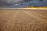 Australasia;Australasian;Australia;Australian;beach;beaches;black-cloud;black-clouds;black-sky;cloud;cloudy;coast;coastal;coastline;dark-cloud;dark-clouds;dark-sky;gray-cloud;gray-clouds;gray-sky;grey-cloud;grey-clouds;grey-sky;Island-of-Tasmania;Ocean-Beach;rain-cloud;rain-clouds;ripple;ripples;sand;sand-ripple;sand-ripples;sandy;State-of-Tasmania;storm;storm-clouds;storms;stormy;Strahan;Tas;Tasmania;The-West;tire-print;tire-prints;tire-track;tire-tracks;tyre-prints;tyre-track;tyre-tracks;West-Tasmania;Western-Tasmania;wind-ripple;wind-ripples