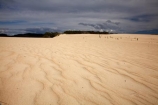 Australasia;Australasian;Australia;Australian;black-cloud;black-clouds;black-sky;cloud;cloudy;dark-cloud;dark-clouds;dark-sky;dune;dunes;gray-cloud;gray-clouds;gray-sky;grey-cloud;grey-clouds;grey-sky;Henty-Dunes;Henty-Sand-Dunes;Island-of-Tasmania;rain-cloud;rain-clouds;ripple;ripples;sand;sand-dune;sand-dunes;sand-hill;sand-hills;sand-ripple;sand-ripples;sand_dune;sand_dunes;sand_hill;sand_hills;sanddune;sanddunes;sandhill;sandhills;sandy;State-of-Tasmania;storm;storm-clouds;storms;stormy;Strahan;Tas;Tasmania;The-West;West-Tasmania;Western-Tasmania;wind-ripple;wind-ripples