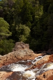 Australasian;Australia;Australian;cascade;cascades;creek;creeks;falls;Island-of-Tasmania;natural;nature;Rosebery;scene;scenic;State-of-Tasmania;Stilt-River-Falls;stream;streams;Tas;Tasmania;The-West;water;water-fall;water-falls;waterfall;waterfalls;West-Tasmania;Western-Tasmania;wet
