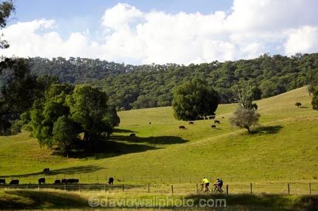 agricultural;agriculture;australasia;australasian;australia;australian;autumn;autumn-colour;autumn-colours;autumnal;autumninal;avenue;avenues;bicycle;bicycles;bike;bikes;Bright;country;countryside;cycle;cycler;cyclers;cycles;cyclist;cyclists;farm;farming;farmland;farms;field;fields;meadow;meadows;mountain-bike;mountain-biker;mountain-bikers;mountain-bikes;mtn-bike;mtn-biker;mtn-bikers;mtn-bikes;Murray-to-the-Mountains-Rail-Tr;paddock;paddocks;pasture;pastures;porepunkah;push-bike;push-bikes;push_bike;push_bikes;pushbike;pushbikes;rail-trail;rail-trails;rural;tourism;travel;tree;trees;victoria