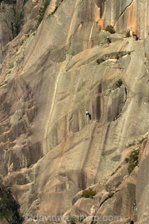 Ability;Activity;Adventure-sports;Alone;alpine;Ascend;Ascending;Ascension;Ascent;australasia;australia;australian;australian-alps;bluff;bluffs;Brave;Bravery;buffalo-gorge;cliff;cliffs;Climb;climber;Climbers;climbing;Courage;Danger;Dangerous;Daytime;Determination;Dexterity;Difficult;Difficulty;Exterior;Extreme;Harness;Harnesses;Hazard;high;Human;Leisure;mount-buffalo-n.p.;mount-buffalo-national-park;mount-buffalo-np;Mountaineering;mt-buffalo-n.p.;mt-buffalo-national-park;mt-buffalo-np;mt.-buffalo-n.p.;mt.-buffalo-national-park;mt.-buffalo-np;One;One-person;Outdoor;Outdoors;Outside;People;Person;Persons;Recreation;Risk;risky;Rock;rock-climber;rock-climbers;Rock-Climbing;Rocks;rope;ropes;Scale;Single;Skill;Skilled;Sport;Sports;steep;Strength;Tough;Transcend;Transcending;vertical;victoria;victorian-alps;Wall;Walls
