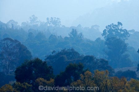 air-pollution;air-polutants;air-quality;airshed;airsheds;atmosphere;Australia;autuminal;autumn;autumnal;bad-air-quality;Berringama;burnoff;burnoffs;bush-fire;bush-fires;bush_fire;bush_fires;bushfire;bushfires;carbon-footprint;Corryong;deciduous;Eastern-Victoria;emissions;emit;emsision;environment;eucalypt;eucalypts;eucalyptus;eucalytis;fall;global-warming;greenhouse-gas;greenhouse-gases;gum;gum-tree;gum-trees;gums;haze;hazey;hazy;high-pollution-day;high-pollution-days;hill;hills;Mount-Burrowa;Mt-Burrowa;Mt.-Burrowa;pollute;polluting;pollution;poor-air-quality;season;seasonal;seasons;Shelley;smog;smoggy;smoke;smokey;smoky;Tallangatta;tree;trees;VIC;Victoria