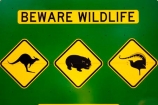 australasia;australia;australian;beware-wildlife;bird;birds;kangaroo;Kangaroo-Warning-Sign;kangaroos;Lasiorhinus-latrifrons;lyre-bird;lyre-birds;lyre_bird;lyre_birds;lyrebird;lyrebirds;mount-buffalo-n.p.;mount-buffalo-national-park;mount-buffalo-np;mt-buffalo-n.p.;mt-buffalo-national-park;mt-buffalo-np;mt.-buffalo-n.p.;mt.-buffalo-national-park;mt.-buffalo-np;natural;nature;Road;road-sign;road-signs;road_sign;road_signs;roads;roadsign;roadsigns;sign;signs;symbol;symbols;tranportation;transport;travel;victoria;warn;warning;wildlife;wombat;wombats;yellow-black
