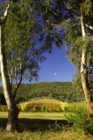agriculture;australasian;Australia;australian;autuminal;autumn;autumnal;bright;country;countryside;crop;crops;cultivation;fall;farm;farming;farmland;farms;field;fields;gapstead;gapstead-vineyard;gapstead-winery;grape;grapes;grapevine;gricultural;horticulture;myrtleford;porepunkah;row;rows;rural;Victoria;vine;vines;vineyard;vineyards;vintage;wine;wineries;winery;wines