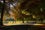 australasia;Australia;australian;automobile;automobiles;autumn;autumn-colour;autumn-colours;autumnal;autumninal;avenue;avenues;bicycle;bicycles;bike;bikes;boulevard;boulevards;Bright;car;cars;centre-line;centre-lines;centre_line;centre_lines;centreline;centrelines;color;colors;colour;colours;cycle;cycler;cyclers;cycles;cyclist;cyclists;deciduous;driving;fall;fall-color;fall-colors;foliage;highway;highways;leaf;leaves;mountain-bike;mountain-biker;mountain-bikers;mountain-bikes;mtn-bike;mtn-biker;mtn-bikers;mtn-bikes;open-road;open-roads;Road;road-trip;roads;straight;tranportation;transport;transportation;travel;traveling;travelling;tree;trees;trip;trips;vehicle;vehicles;Victoria