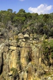 alpine;australasia;australia;australian;australian-alps;bluff;bluffs;buffalo-gorge;cliff;cliffs;lookout;lookouts;mount-buffalo-gorge;mount-buffalo-n.p.;mount-buffalo-national-park;mount-buffalo-np;mountainside;mountainsides;mt-buffalo-gorge;mt-buffalo-n.p.;mt-buffalo-national-park;mt-buffalo-np;mt.-buffalo-n.p.;mt.-buffalo-national-park;mt.-buffalo-np;mt.buffalo-gorge;panorama;panoramas;scene;scenes;steep;the-gorge;victoria;victorian-alps;view;viewpoint;viewpoints;views;vista;vistas