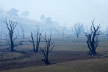 air-pollution;air-polutants;air-quality;airshed;airsheds;atmosphere;Australia;bad-air-quality;blackened-tree;blackened-trees;burnoff;burnoffs;burnt-tree;burnt-trees;bush-fire;bush-fires;bush_fire;bush_fires;bushfire;bushfires;carbon-footprint;dead-tree;dead-trees;drought;dry;Eastern-Victoria;emissions;emit;emsision;environment;global-warming;greenhouse-gas;greenhouse-gases;haze;hazey;hazy;high-pollution-day;high-pollution-days;Lake-Hume;Mitta-Arm;pollute;polluting;pollution;poor-air-quality;smog;smoggy;smoke;smokey;smoky;Tallangatta;tree;tree-stump;tree-stumps;tree-trunk;tree-trunks;trees;VIC;Victoria