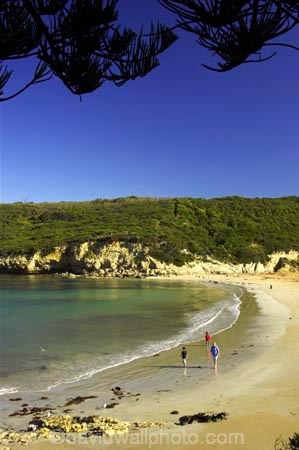 australasia;australasian;australia;australian;bay;bays;beach;beaches;coast;coastal;coastline;coastlines;coasts;great-ocean-highway;Great-Ocean-Road;great-ocean-route;harbor;harbors;harbour;harbours;ocean;oceans;people;person;persons;port-campbell;sand;sandy;sea;seas;shipwreck-coast;shore;shoreline;shorelines;shores;southern-ocean;surf;Victoria;wave;waves
