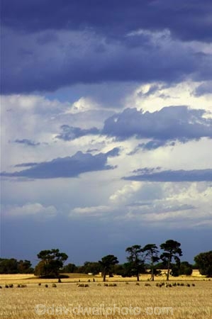 agricultural;agriculture;australasia;australia;australian;black;cloud;cloudy;country;countryside;crop;crops;dark;farm;farming;farmland;farms;field;fields;geelong;gray;grey;horticulture;meadow;meadows;paddock;paddocks;pasture;pastures;rural;skies;sky;storm;storms;stormy;thunder;thunderstorm;thunderstorms;torquay;victoria;weather