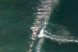 aerial;aerials;australasia;Australia;australian;beach;beaches;bells-beach;bells-beach;coast;coastal;excitement;exciting;freedom;leisure;ocean;oceans;recreation;southern-ocean;sport;surf;surf-board;surf-boards;surfboard;surfboards;surfer;surfers;surfing;torquay;tourism;travel;victoria;water;wave;waves;wet