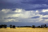 agricultural;agriculture;australasia;australia;australian;black;cloud;cloudy;country;countryside;crop;crops;dark;farm;farming;farmland;farms;field;fields;geelong;gray;grey;horticulture;meadow;meadows;paddock;paddocks;pasture;pastures;rural;skies;sky;storm;storms;stormy;thunder;thunderstorm;thunderstorms;torquay;victoria;weather