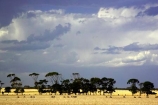 agricultural;agriculture;australasia;australia;australian;black;cloud;cloudy;country;countryside;crop;crops;dark;farm;farming;farmland;farms;field;fields;geelong;gray;grey;horticulture;meadow;meadows;paddock;paddocks;pasture;pastures;rural;skies;sky;storm;storms;stormy;thunder;thunderstorm;thunderstorms;torquay;victoria;weather