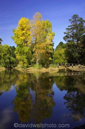 australasia;Australia;australian;autumn;autumn-colour;autumn-colours;autumnal;autumninal;brook;brooks;calder-highway;calm;color;colors;colour;colours;creek;creeks;deciduous;fall;fall-color;fall-colors;flow;foliage;golden;lake;lakes;leaf;leaves;Malmsbury;pond;ponds;pool;reflection;reflections;river;rivers;still;stream;streams;tree;trees;Victoria;water;wet;yellow
