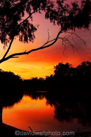 australasia;Australia;australian;break-of-day;dawn;dawning;daybreak;dusk;echica;eucalypt;eucalypts;eucalyptus;eucalytis;evening;first-light;gum;gum-tree;gum-trees;gums;Moama;morning;Murray-River;n.s.w.;New-South-Wales;nightfall;nsw;orange;reflection;reflections;river;rivers;silhouette;silhouettes;sky;sunrise;sunrises;sunset;sunsets;sunup;twilight;Victoria