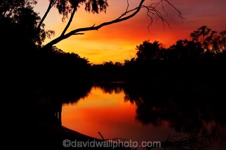 australasia;Australia;australian;break-of-day;dawn;dawning;daybreak;dusk;echica;eucalypt;eucalypts;eucalyptus;eucalytis;evening;first-light;gum;gum-tree;gum-trees;gums;Moama;morning;Murray-River;n.s.w.;New-South-Wales;nightfall;nsw;orange;reflection;reflections;river;rivers;silhouette;silhouettes;sky;sunrise;sunrises;sunset;sunsets;sunup;twilight;Victoria