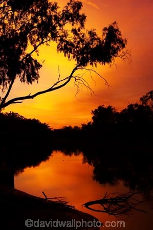 australasia;Australia;australian;break-of-day;dawn;dawning;daybreak;dusk;echica;eucalypt;eucalypts;eucalyptus;eucalytis;evening;first-light;gum;gum-tree;gum-trees;gums;Moama;morning;Murray-River;n.s.w.;New-South-Wales;nightfall;nsw;orange;reflection;reflections;river;rivers;silhouette;silhouettes;sky;sunrise;sunrises;sunset;sunsets;sunup;twilight;Victoria
