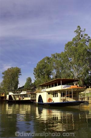 australasia;Australia;australian;boat;boats;canberra;Echuca;excursion;historic;historical;history;moama;Murray-River;n.s.w.;New-South-Wales;nsw;old;paddle;paddle-boat;paddle-boats;paddle-steam-boat;paddle-steam-boats;paddle-steamer;paddle-steamers;paddle_boat;paddle_boats;paddle_steamer;paddle_steamers;paddleboat;paddleboats;paddlesteamer;paddlesteamers;passenger;passengers;Pride-of-the-Murray;river;River-boat;river-boats;River_boat;river_boats;Riverboat;riverboats;rivers;steam-boat;steam-boats;steam_boat;steam_boats;steamboat;steamboats;steamer;steamers;tourism;tourist;tourists;travel;vessel;vessels;Victoria;watercraft