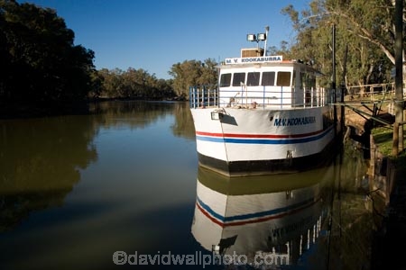 Australasian;Australia;Australian;boat;boats;calm;cruise;cruises;launch;launches;M.V.-Kookaburra;Murray-River;N.S.W.;New-South-Wales;NSW;placid;quiet;reflection;reflections;river;rivers;serene;smooth;still;Swan-Hill;tour-boat;tour-boats;tourism;tourist;tourist-boat;tourist-boats;tranquil;Vic;Victoria;water
