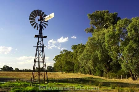 agricultural;agriculture;australasia;australia;australian;bore-pump;bore-pumps;borepump;borepumps;country;countryside;dawn;dawning;daybreak;dusk;evening;farm;farming;farmland;farms;field;fields;rural;silhouette;silhouettes;sky;victoria;wind;wind-mill;wind-mills;wind_mill;wind_mills;windmill;windmills;windy