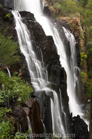 australasia;australasian;Australia;cascade;cascades;creek;creeks;falls;grampian-national-park;grampians-N.P.;Grampians-National-Park;Mackenzie-Falls;mckenzie-falls;national-parks;natural;nature;scene;scenic;stream;streams;Victoria;water;water-fall;water-falls;waterfall;waterfalls;wet