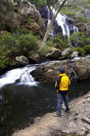 australasia;australasian;Australia;cascade;cascades;creek;creeks;falls;grampian-national-park;grampians-N.P.;Grampians-National-Park;Mackenzie-Falls;mckenzie-falls;national-parks;natural;nature;people;person;scene;scenic;stream;streams;tourism;tourist;tourists;travel;Victoria;water;water-fall;water-falls;waterfall;waterfalls;wet