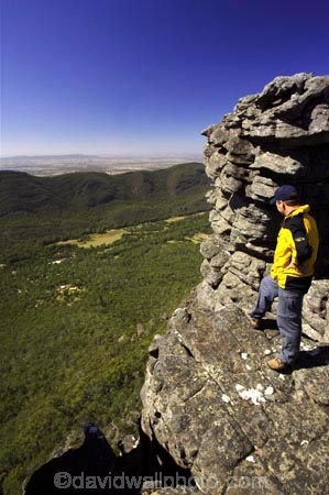 australasia;australasian;Australia;beautiful;beauty;bluff;bluffs;bush;cliff;cliffs;endemic;erosion;forest;forests;geological-formation;geological-formations;geology;grampian-national-park;grampians-N.P.;Grampians-National-Park;grampians-np;green;halls-gap;high;lookout;lookouts;national-parks;native;native-bush;natives;natural;nature;on-the-edge;panorama;panoramas;people;person;persons;rock;rock-formation;rock-formations;rocks;rocky;scene;scenes;scenic;stone;tourism;tourist;tourists;travel;tree;trees;Victoria;view;viewpoint;viewpoints;views;vista;vistas;wonderland-range;wonderland-ranges;wood