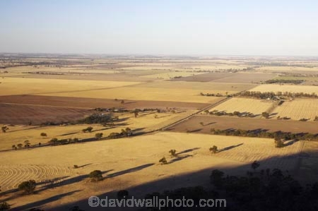 agricultural;agriculture;australasia;australia;australian;country;countryside;crop;crops;drought;droughts;dry;farm;farming;farmland;farms;field;fields;horsham;horticulture;meadow;meadows;mount-arapiles;mt-arapiles;mt.arapiles;natimuk;paddock;paddocks;parched;pasture;pastures;rural;victoria