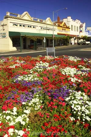 ararat;australasia;australia;australian;bloom;blooms;building;buildings;color;colors;colour;colours;country-town;country-towns;flower;flower-garden;flower-gardens;flowers;garden;gardens;heritage;historic;historic-building;historic-buildings;historical;historical-building;historical-buildings;history;lilac;old;pink;purple;roundabout;roundabouts;rural-town;rural-towns;town;towns;tradition;traditional;victoria;violet;white